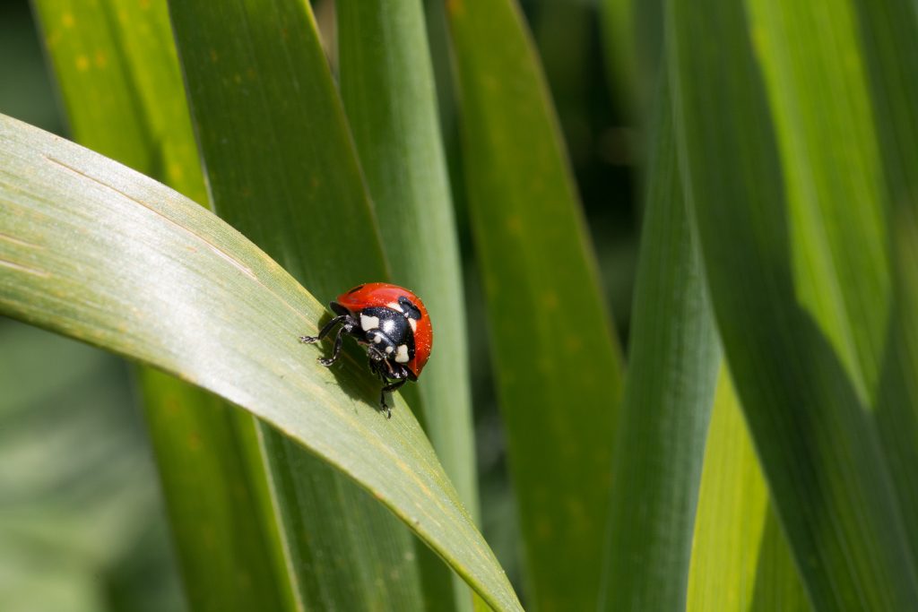 Image by wirestock on Freepik